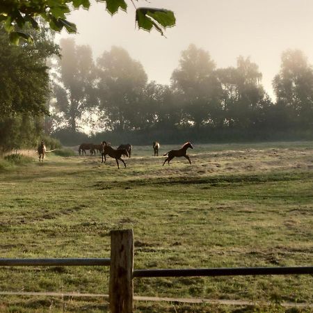 Kleenes Haffhus Ueckermünde Eksteriør billede